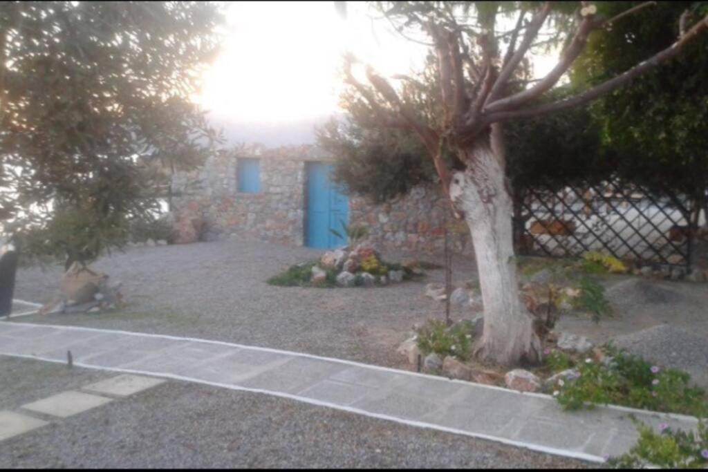 Villa Tsampika Pefki المظهر الخارجي الصورة